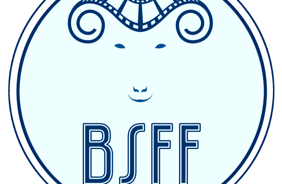 BSFF Log