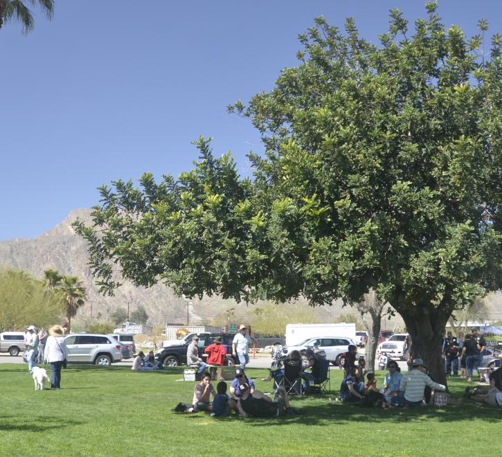 shady break