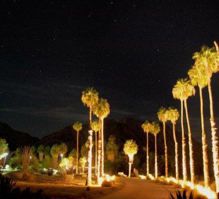 The Palms at Indian Head Hotel