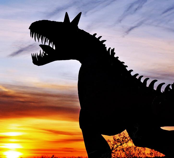 Under The Sun Foundation The Borrego Experience Under The Sun Foundation The Borrego Experience