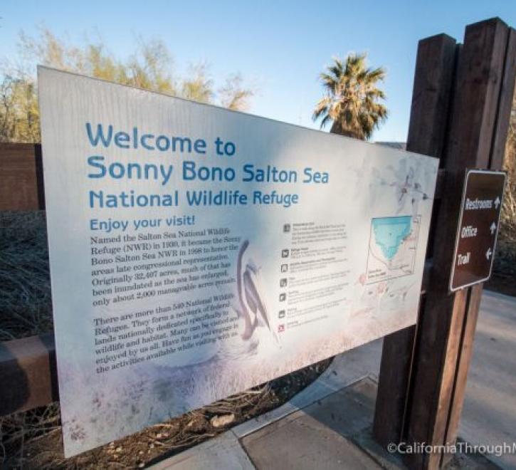 Collection 24+ Stock Images sonny bono salton sea national wildlife refuge visitor center Updated Collection 24+ Stock Images sonny bono salton sea national wildlife refuge visitor center Updated
