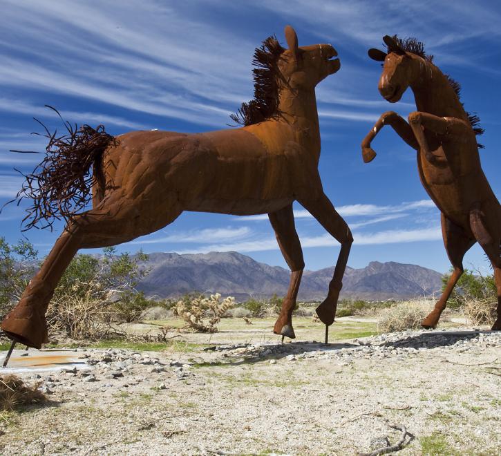 Galleta Medows horse