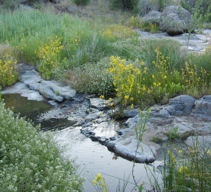 Green valley campground cuyamaca online